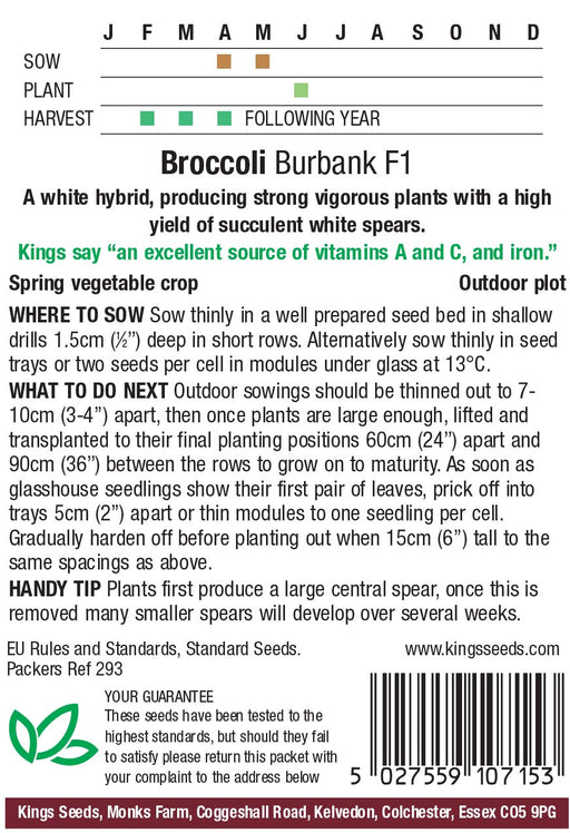 Kings Seeds Broccoli Sprouting Burbank Seeds