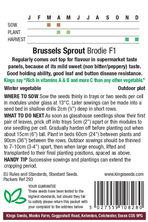 Kings Seeds Brussels Sprout Brodie Seeds