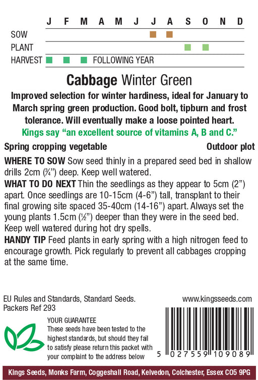 Kings Seeds Cabbage (Spring Greens) Winter Seeds