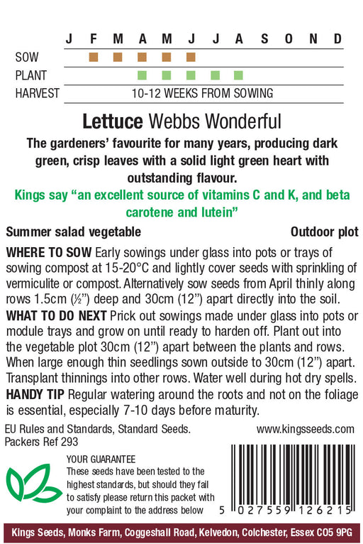 Kings Seeds Lettuce Webbs Wonderful Seeds