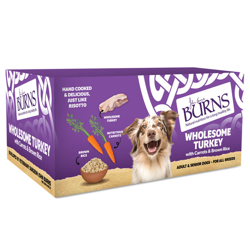 Burns Adult Dog Tray 12x150g Turkey