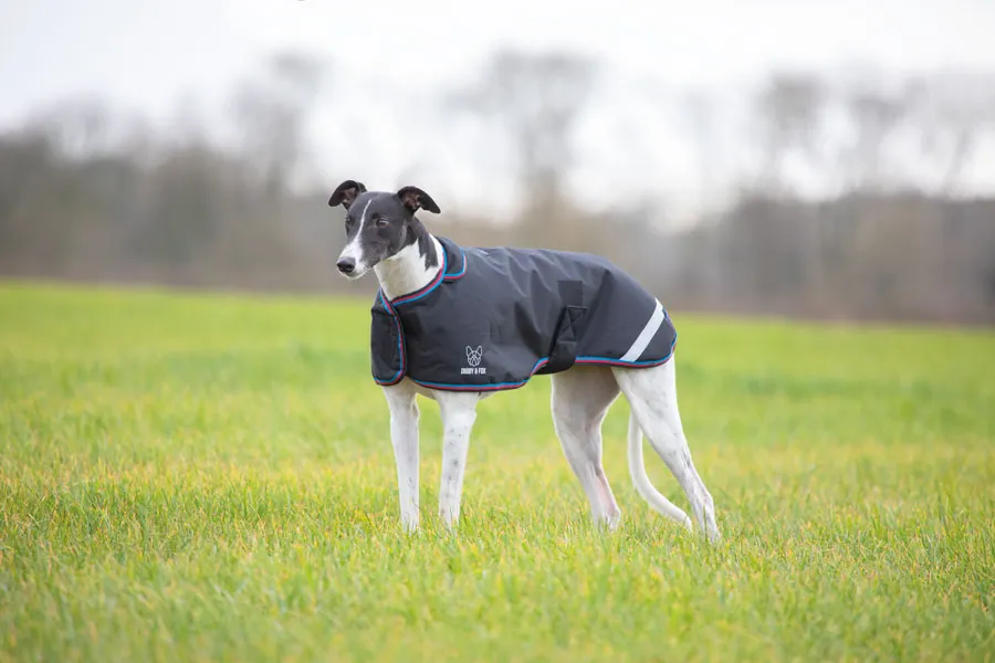 Digby & Fox Waterproof Greyhound Coat
