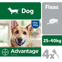 Advantage 400 Dogs 4's PML
