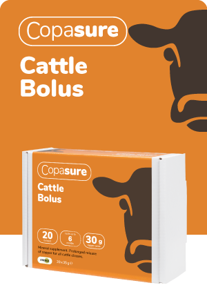 Animax Tracesure Copasure Cattle 24g