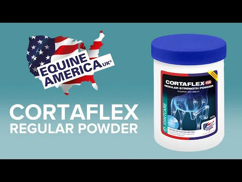 Equine America CortaflexÂ® HA Regular Powder