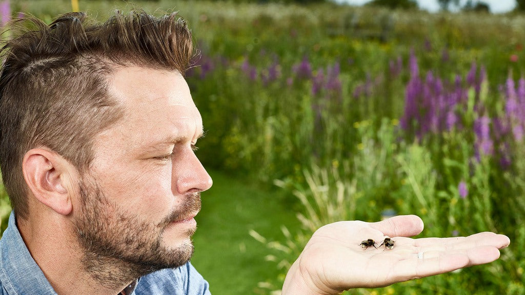 Eyebrook Bird Feeds saving the bees with Channel 4’s Jimmy Doherty