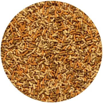 Tetra Variety Sticks