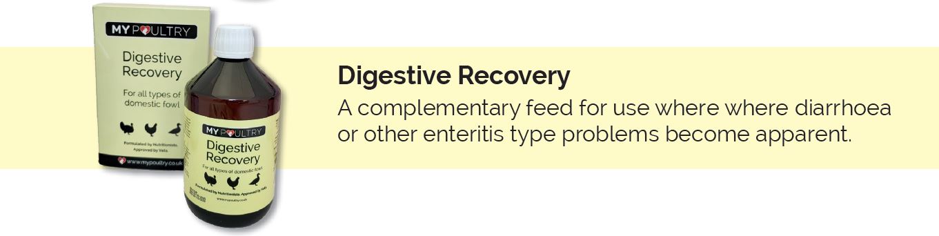 My Poultry Digestive Recovery 500ml