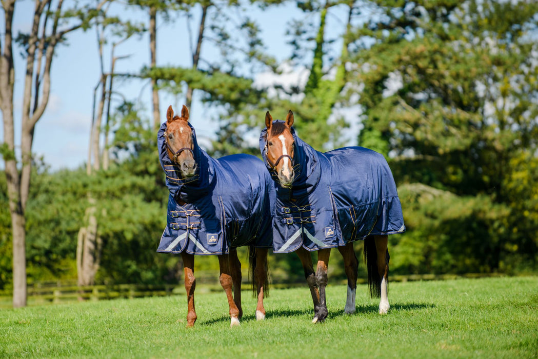 Mackey Wicklow 360g Turnout Rug