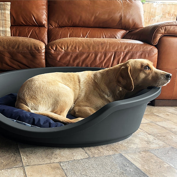 EcoLine Plastic Bed Graphite Grey