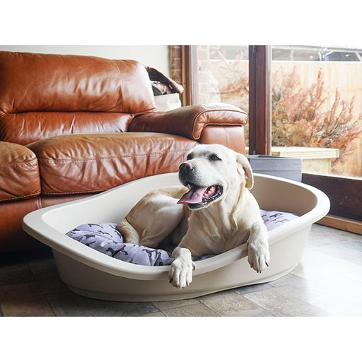 All Seasons Pet Mattress