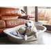 All Seasons Pet Mattress