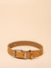 Joules Collar Tan - Small
