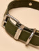 Joules dog collar Khaki