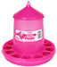 Poultry Feeder Hot Chick Pink