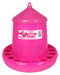 Poultry Feeder Hot Chick Pink