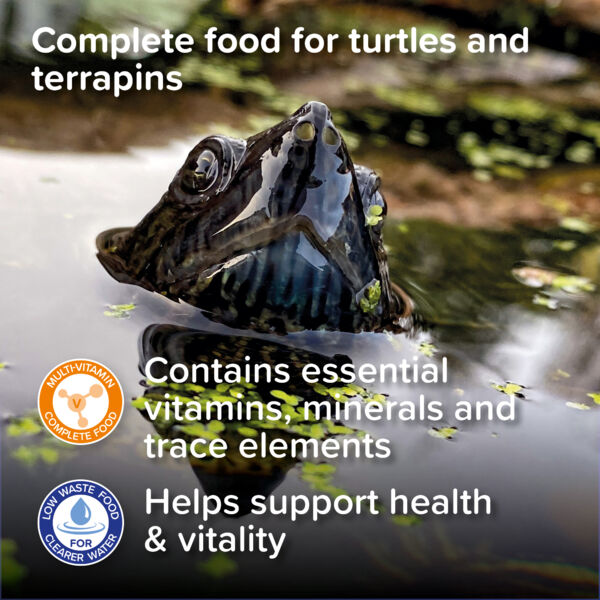 King British Turtle And Terrapin Sticks 90g