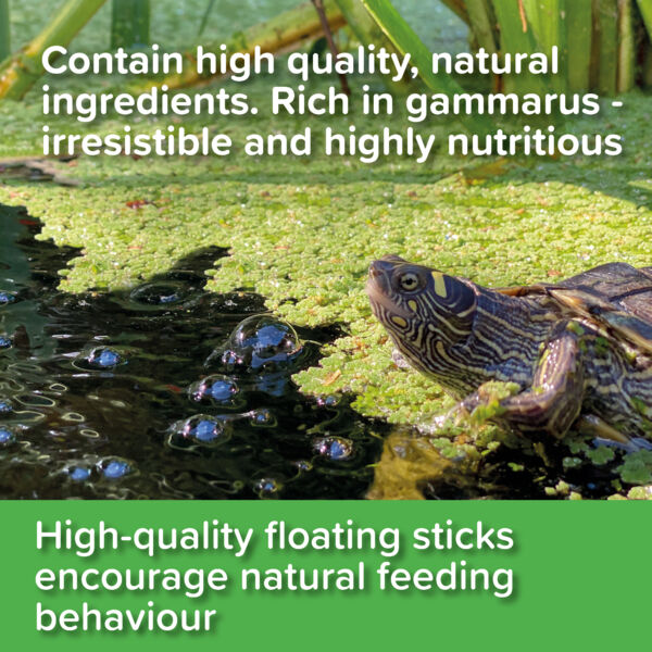 King British Turtle And Terrapin Sticks 90g