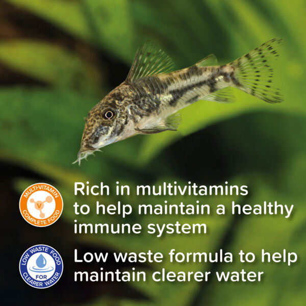 King British Catfish 60g