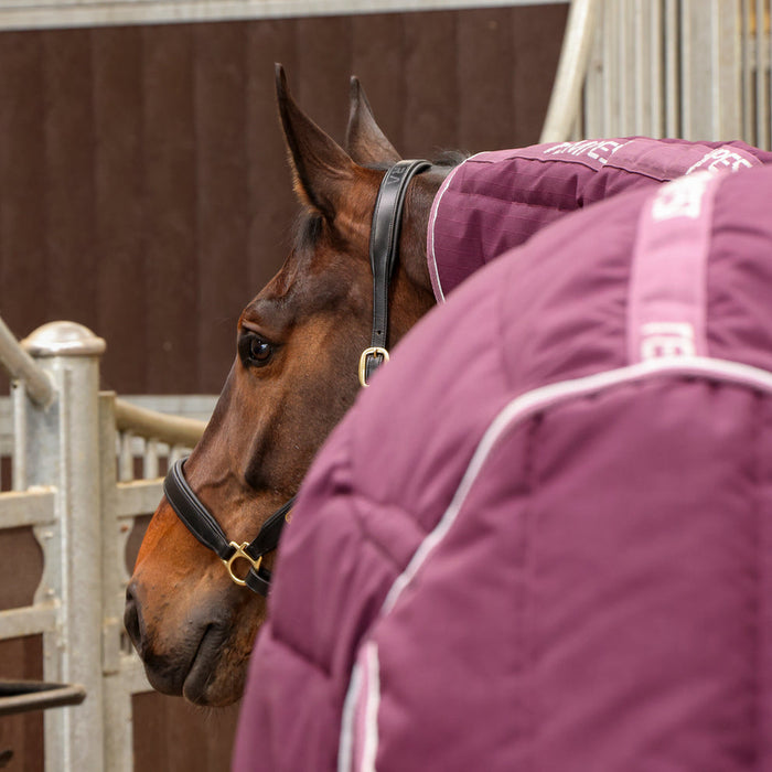Shires Tempest 300g Combo Stable Rug