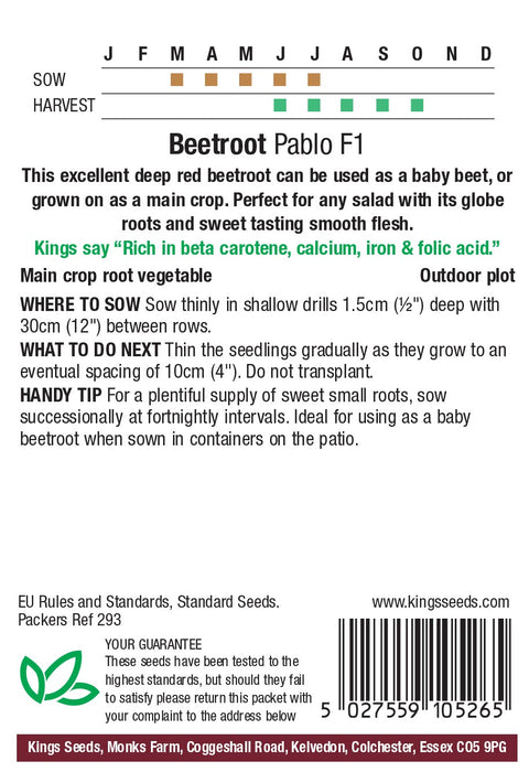 Kings Seeds Beetroot Pablo F1 Seeds