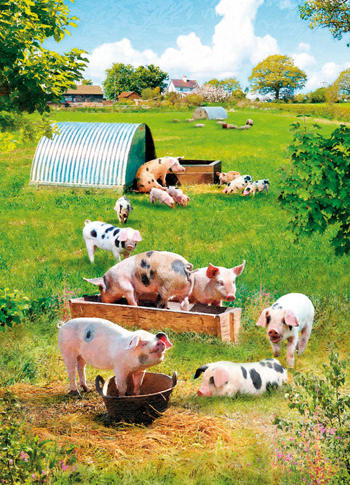 Country Cards  Out In The Sunshine Pigs Card