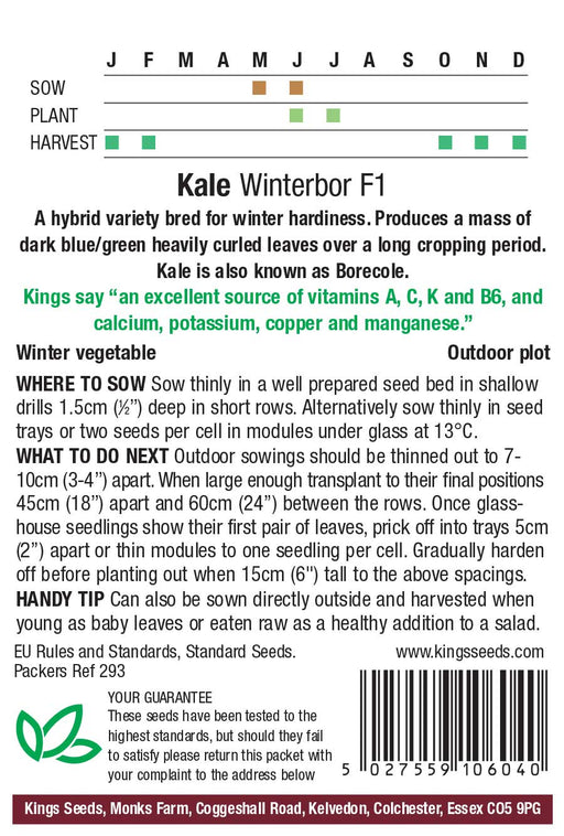 Kings Seeds Kale Winterbor F1 Seeds