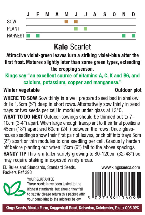 Kings Seeds Kale Scarlet Seeds