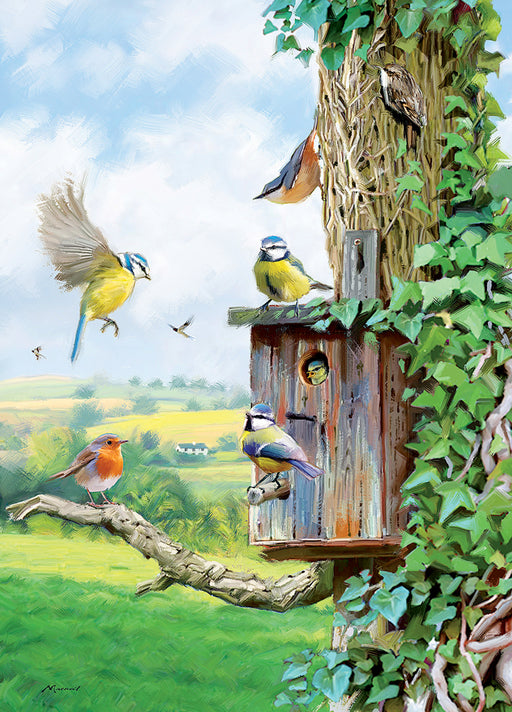 Country Cards  Birds Nesting Box Card