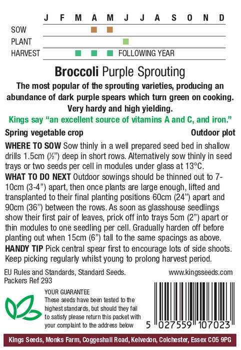 Kings Seeds Broccoli Purple Sprouting Seeds