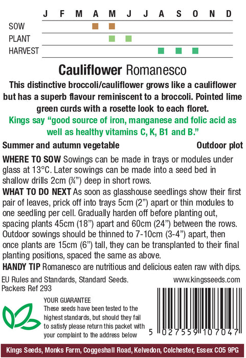 Kings Seeds Cauliflower Romanesco Seeds