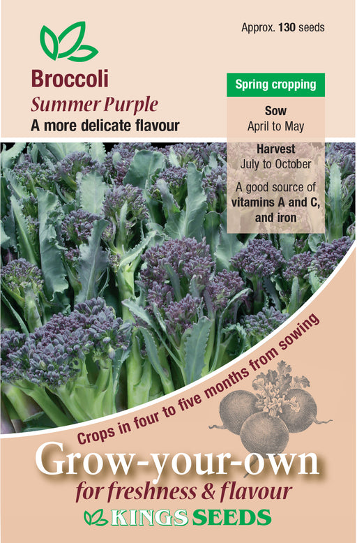 Kings Seeds Broccoli Summer Purple