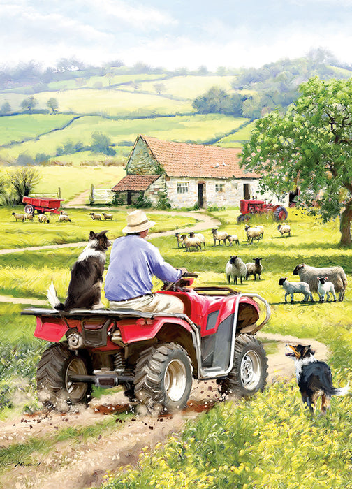 Country Cards  Quad And Collies Card