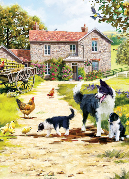 Country Cards Collie And Chick Card