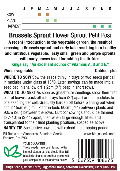 Kings Seeds Brussels Sprout Flower Sprout Seeds