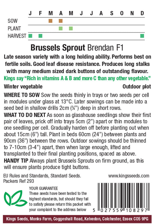 Kings Seeds Brussels Sprout Brendan Seeds
