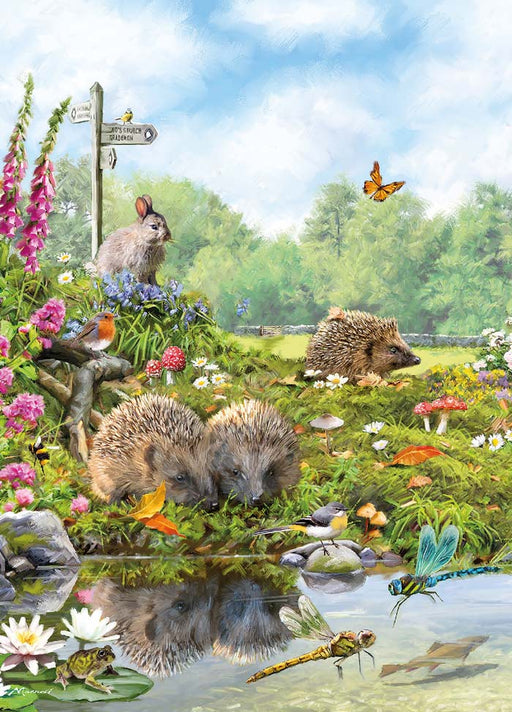 Country Cards Hedgehogs Card