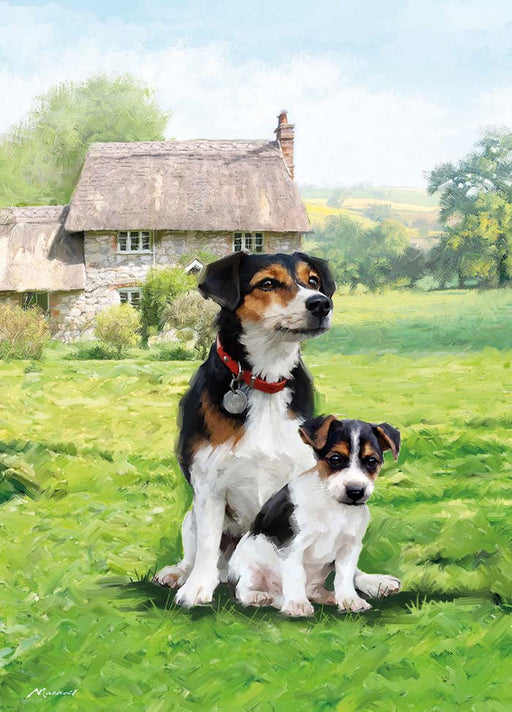 Country Cards  Jack Russel Card