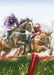 Country Cards Horse Racing Card