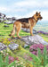 Country Cards German Shepherd Card