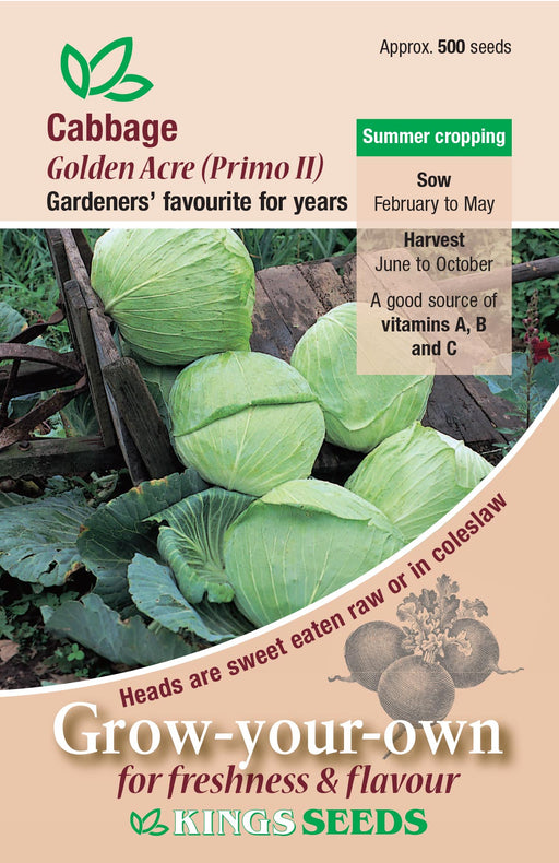 Kings Seeds Cabbage Golden Acre Primo Seeds