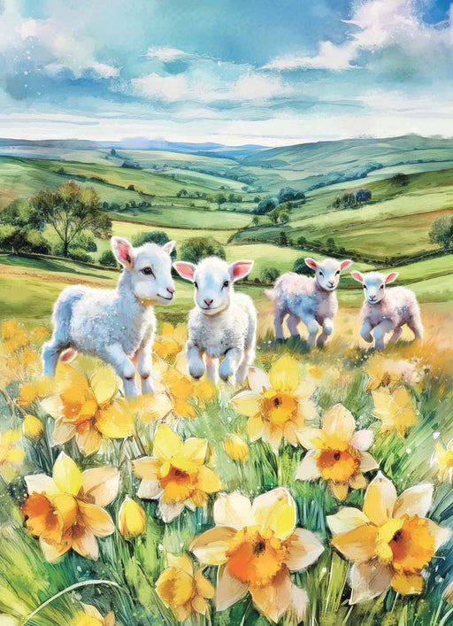 Country Cards Lambs & Daffodils
