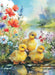Country Cards Ducklings By Water
