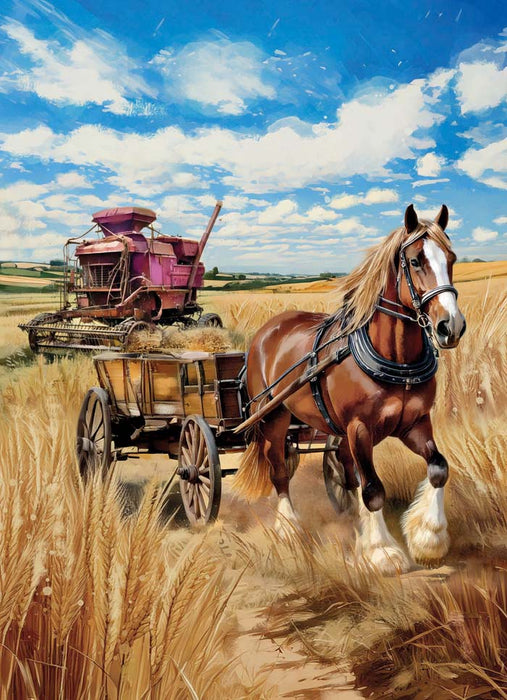Country Cards Horse And Cart
