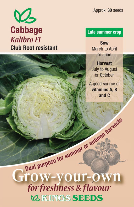 Kings Seeds Cabbage Kalibro F1 Seeds