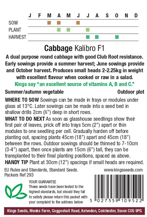 Kings Seeds Cabbage Kalibro F1 Seeds