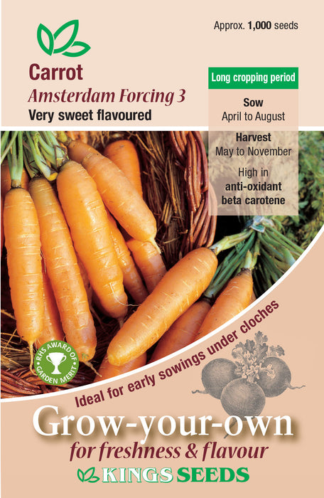 Kings Seeds Carrot Amsterdam Forcing 3 Seeds
