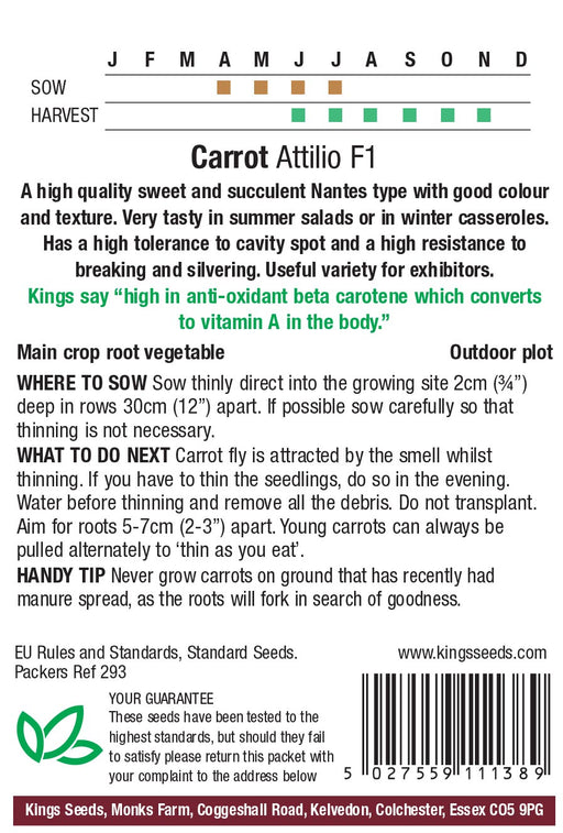 Kings Seeds Carrot Attillo F1 Seeds