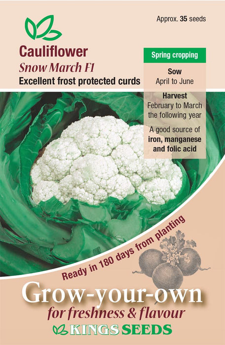 Kings Seeds Cauliflower Snow March F1 Seeds