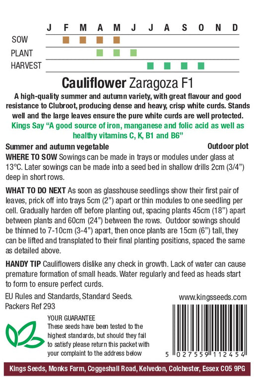 Kings Seeds Cauliflower Zaragoza F1 Seeds